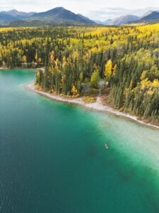 the unexpected beauty in BC