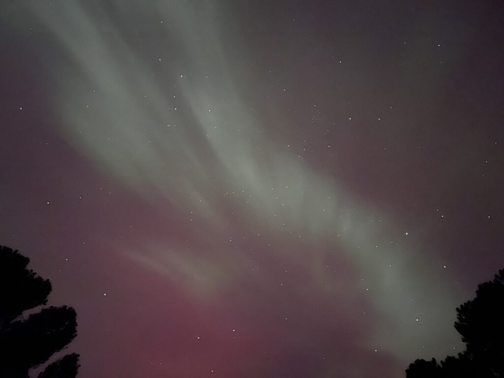 Northern Lights Maple Overland