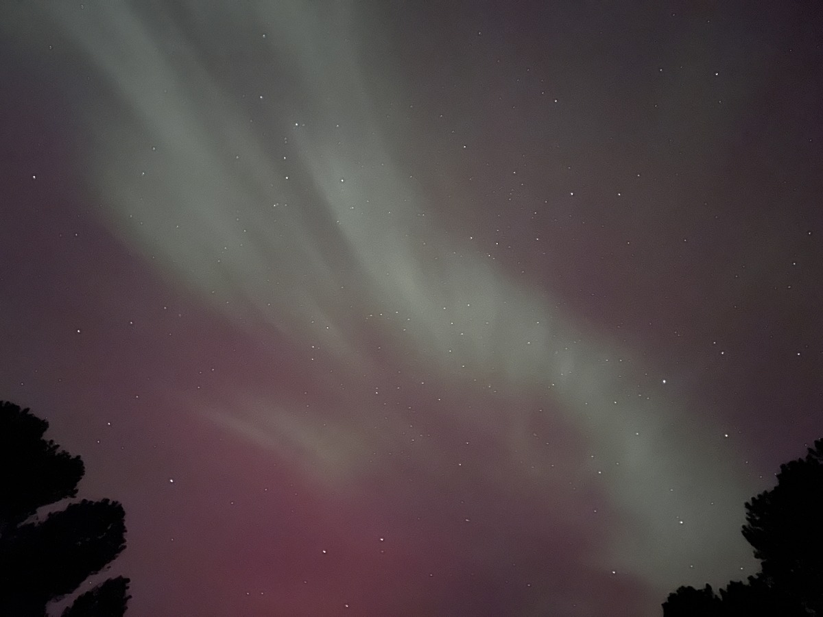 Northern Lights Maple Overland